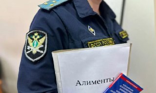 Житель Бугульмы выплатил миллионный долг по алиментам