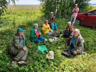 Волонтеры собирают травы для солдат: каждую щепотку с молитвой