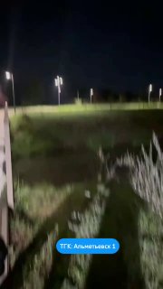 Лисица Ночью Прогулялась У Водохранилища Альметьевска
