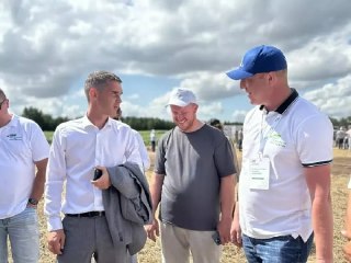Менделеевский район впервые полностью оцифровал аграрные исследования полей