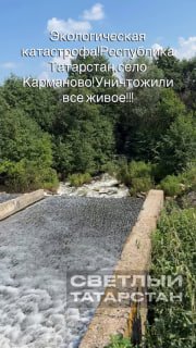Экологическая катастрофа: массовая гибель рыбы в Заинске