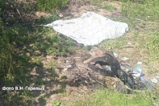 Трагедия на отдыхе: взрыв газовой плитки травмировал четырех татарстанцев