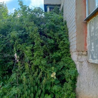 Жилинспекция в Елабуге выявила масштабные нарушения в доме на проспекте Мира