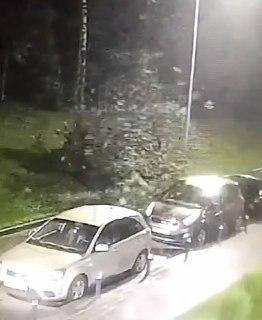 Сильные дожди в Татарстане: деревья валятся на машины и трагедия
